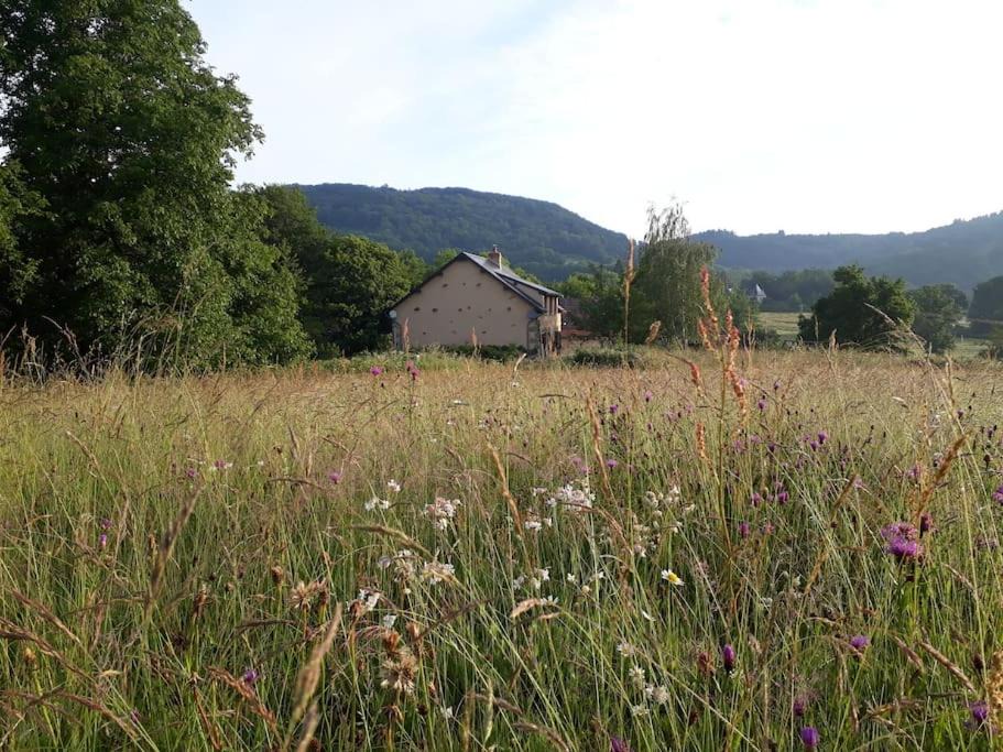 Photo of Others in Cussy-en-Morvan