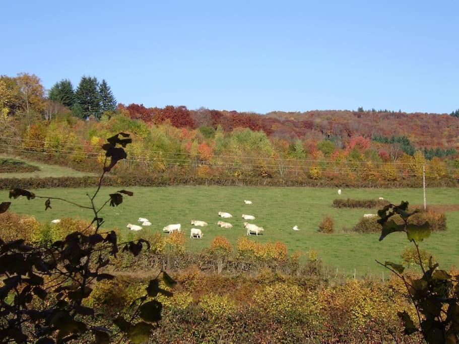 Photo of Others in Cussy-en-Morvan