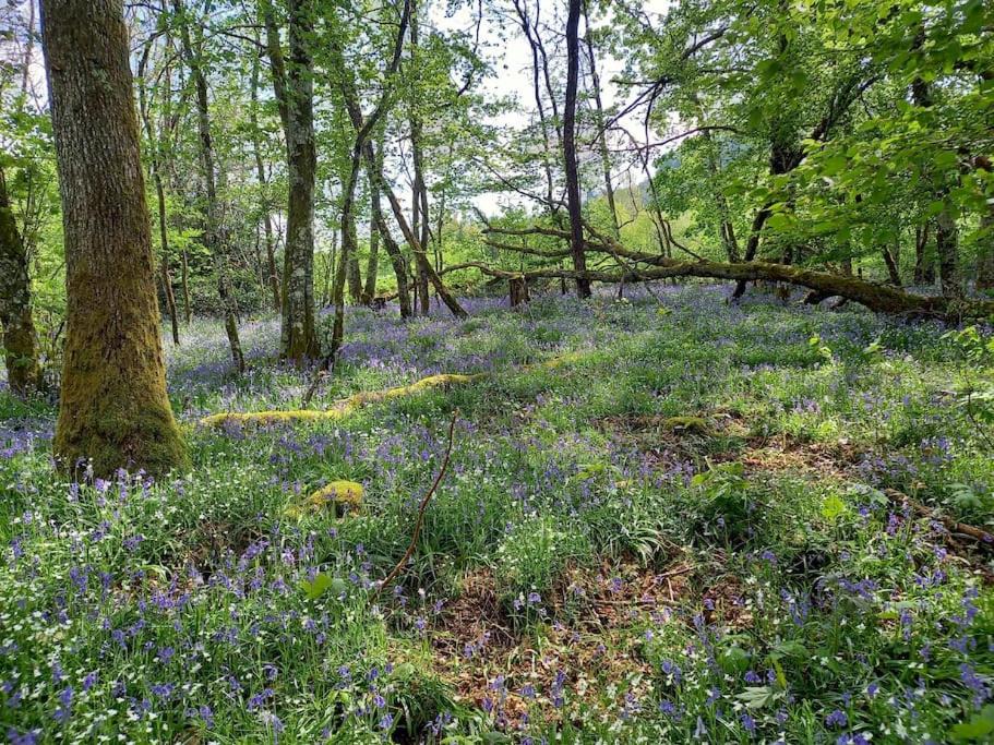 Photo of Others in Cussy-en-Morvan