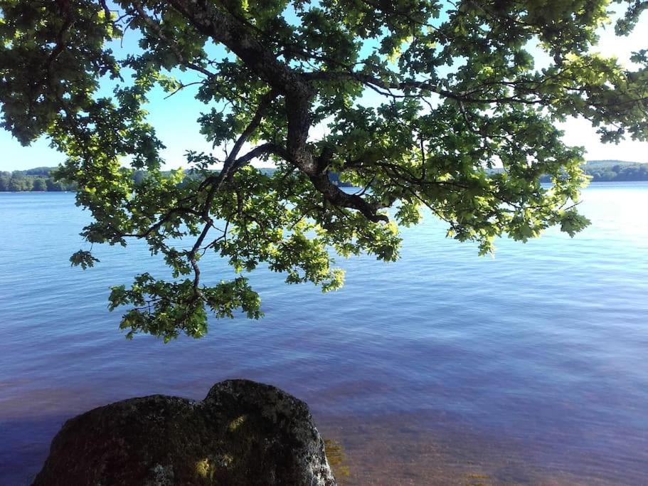 Photo of Others in Cussy-en-Morvan