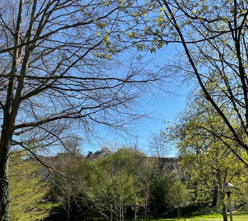 Photo of Buildings in Limoges