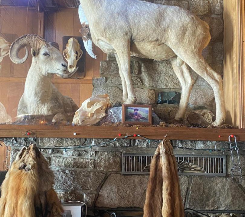 Photo of Others in Glennallen