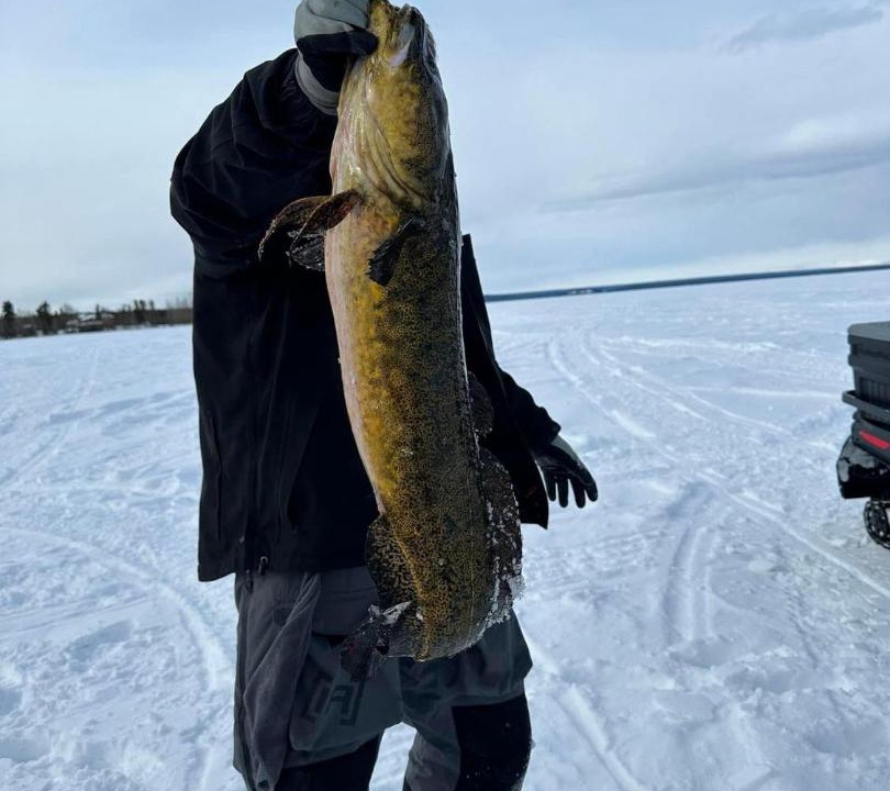 Photo of Others in Glennallen