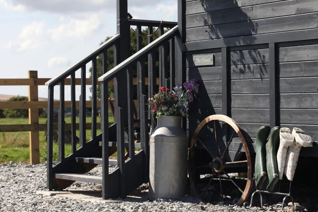 Photo of Others in Lydford