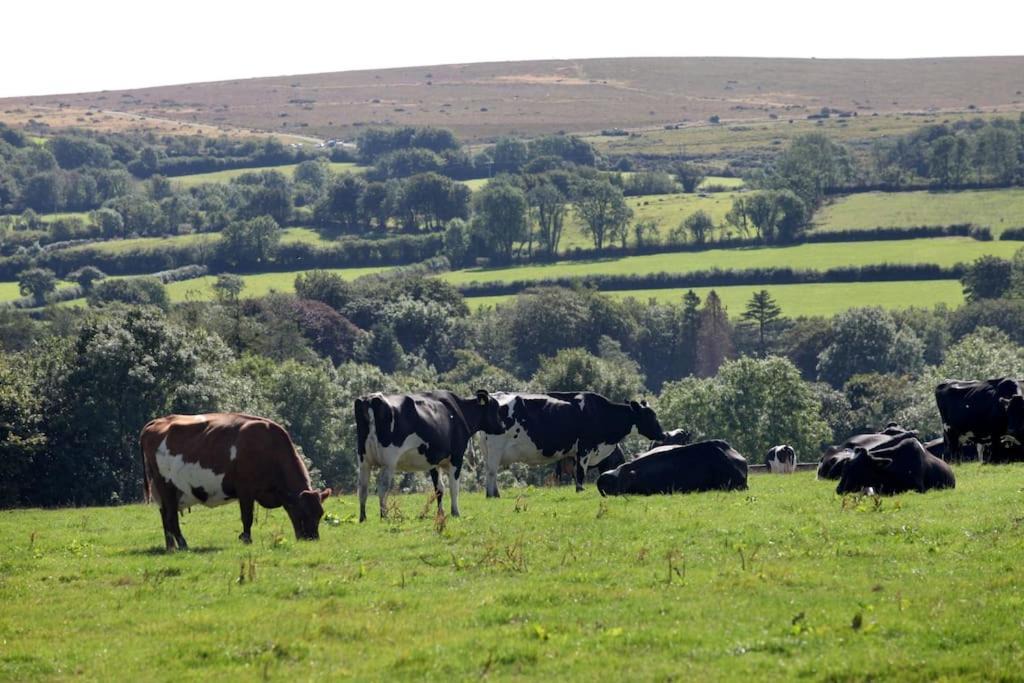 Photo of Others in Lydford