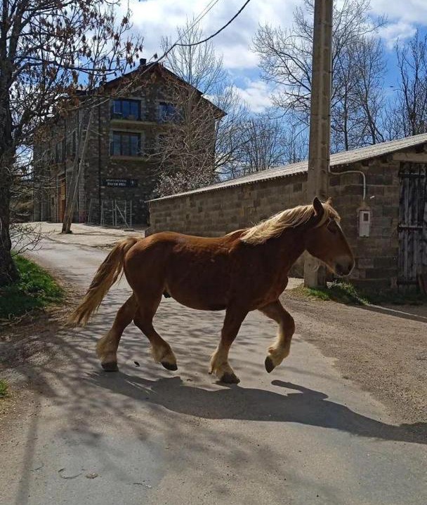 Photo of Others in Laspaules