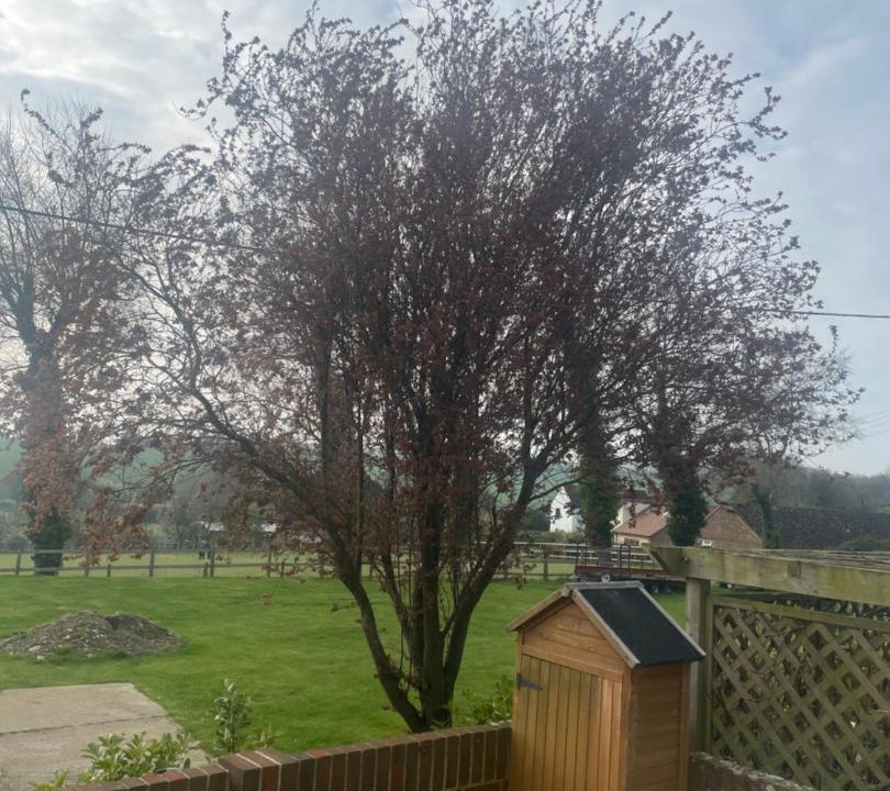 Photo of Others in Woolage Green