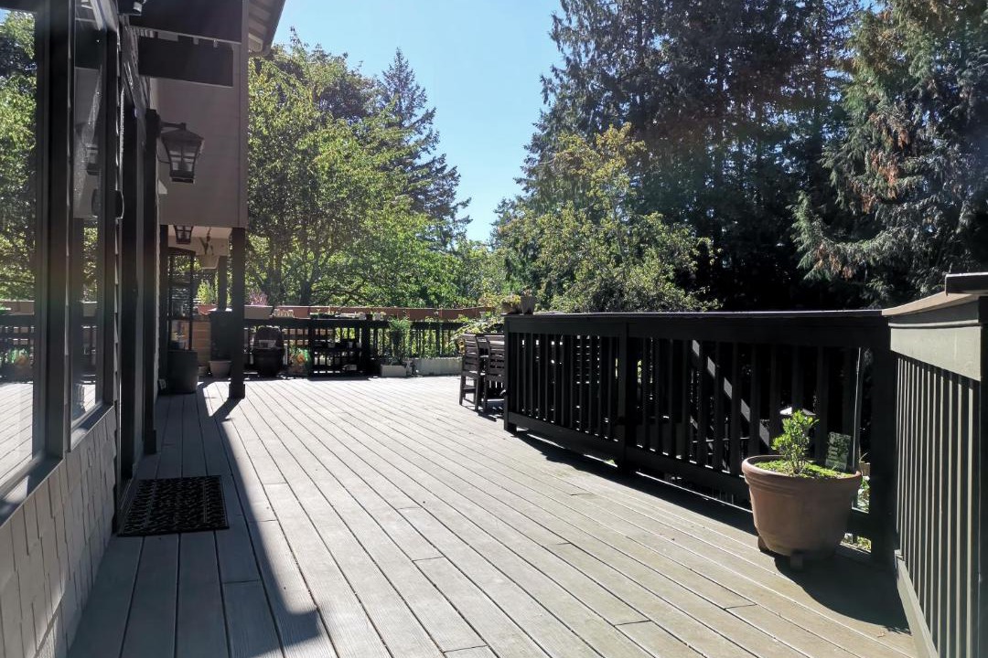 Photo of Others in Issaquah