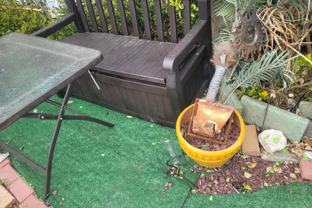 Photo of Others in East New York