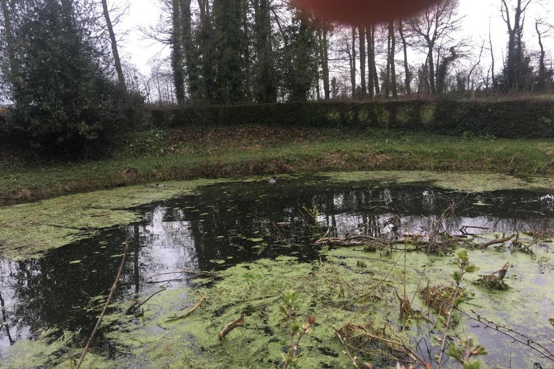 Photo of Others in Caux Seine Agglo