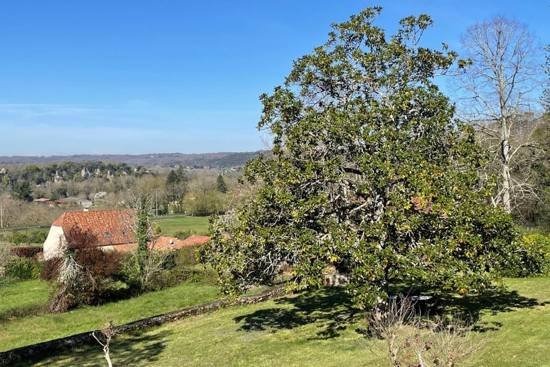 Photo of Others in Carsac-Aillac