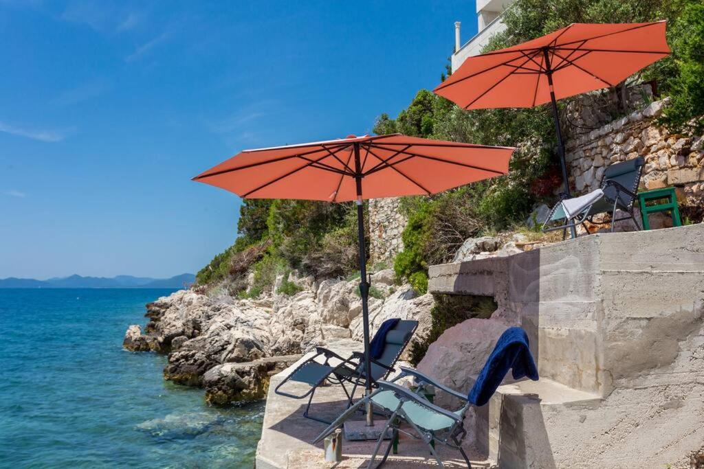 Photo of Others in Dubrovacko Primorje