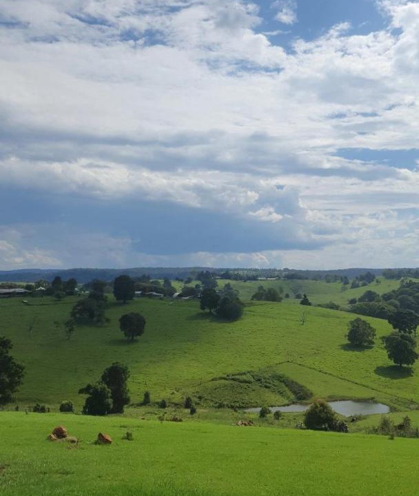 Photo of Others in Beechmont