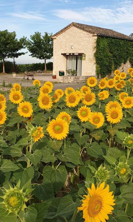 Photo of Others in Donnazac