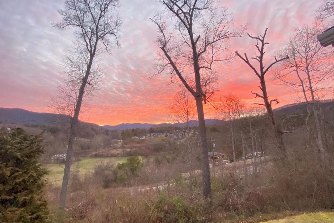 Photo of Others in Weaverville