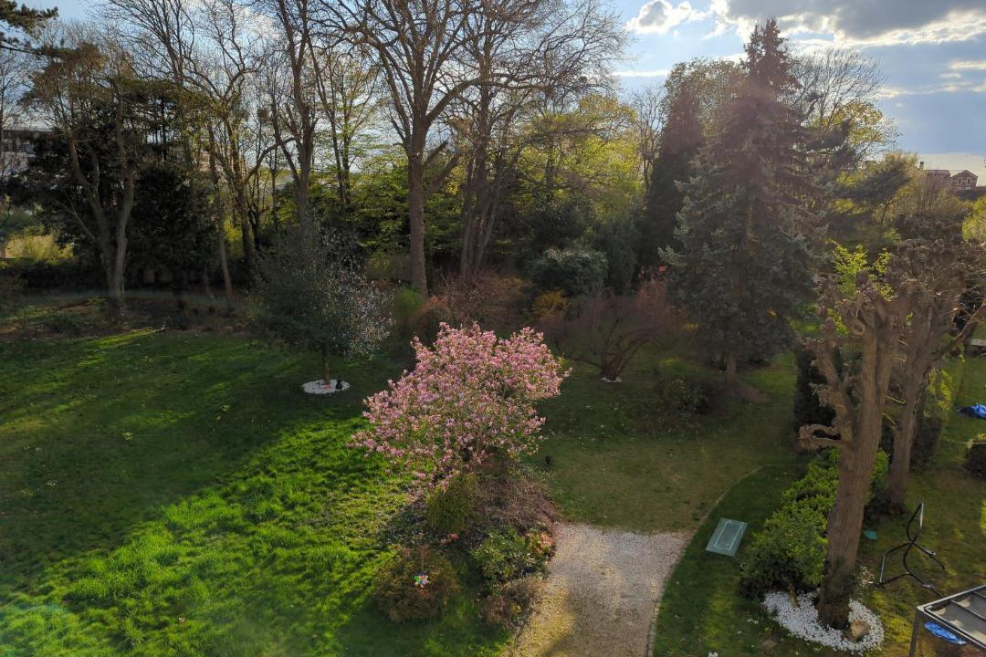 Photo of Others in Quincy-sous-Senart