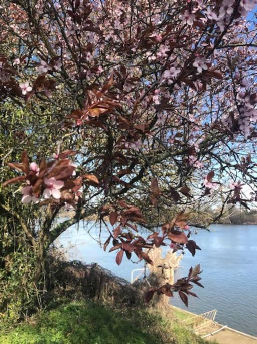 Photo of Others in Poissy