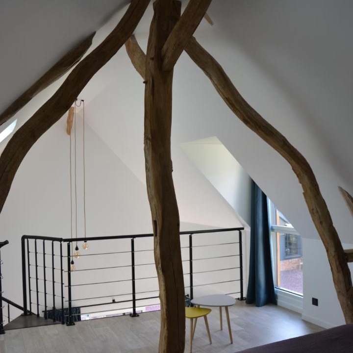 Photo of Others in Huppy