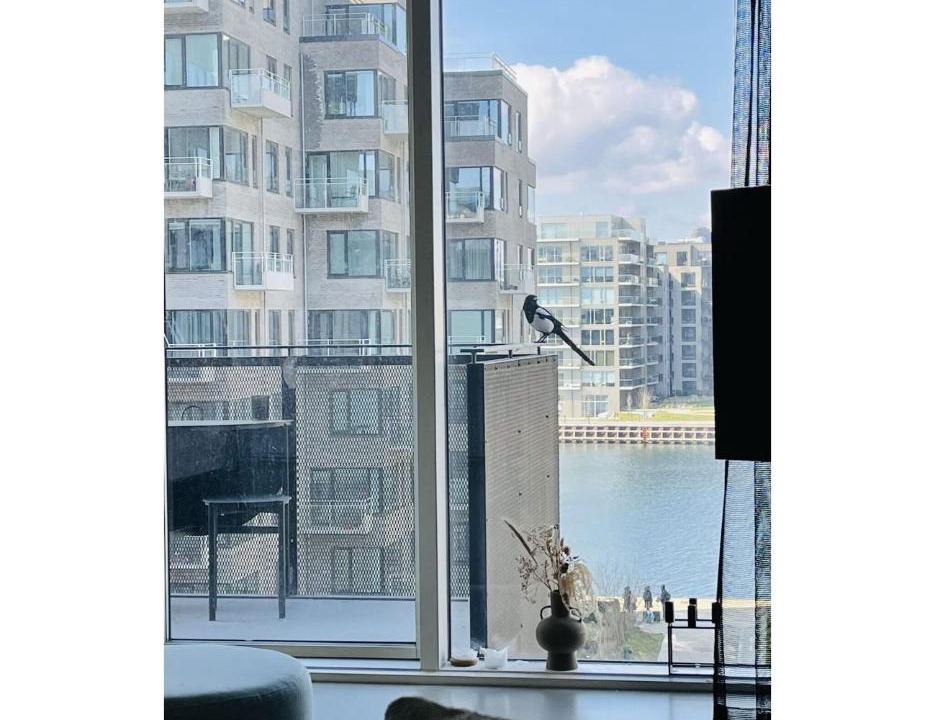 Photo of Others in Amager