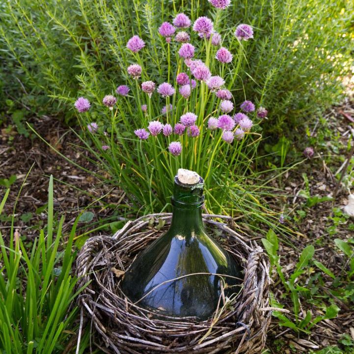 Photo of Others in Bolozon