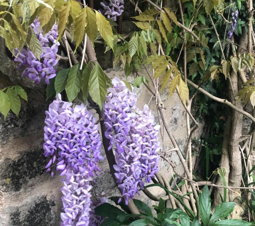 Photo of Outdoor in Flavigny-sur-Ozerain