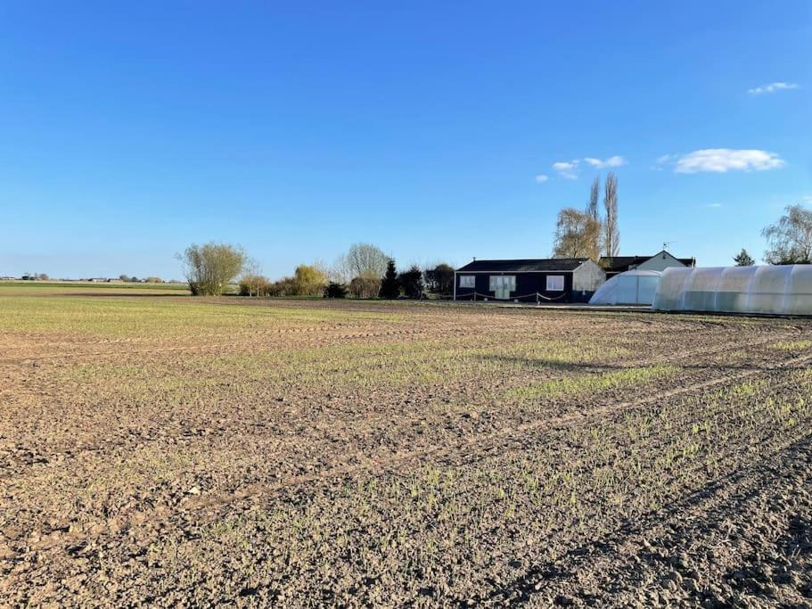 Photo of Others in Spalding