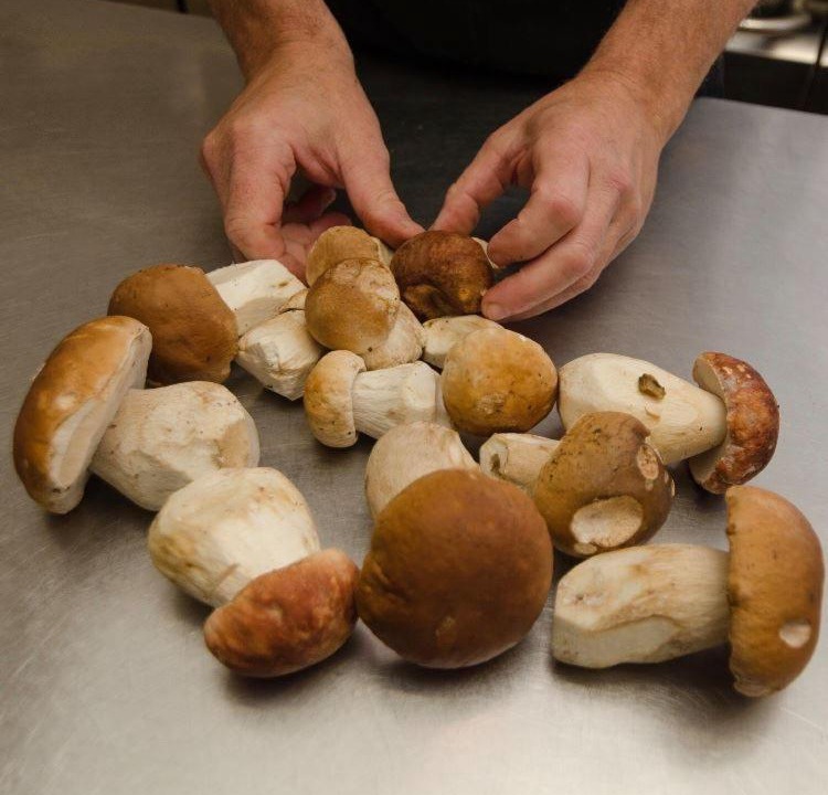 Photo of Others in Madic