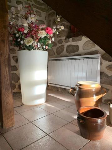 Photo of Others in Madic