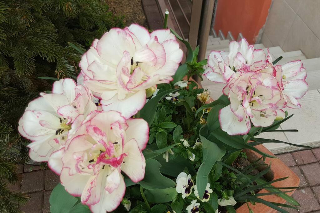 Photo of Others in Bilwisheim