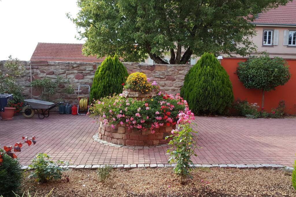 Photo of Buildings in Bilwisheim