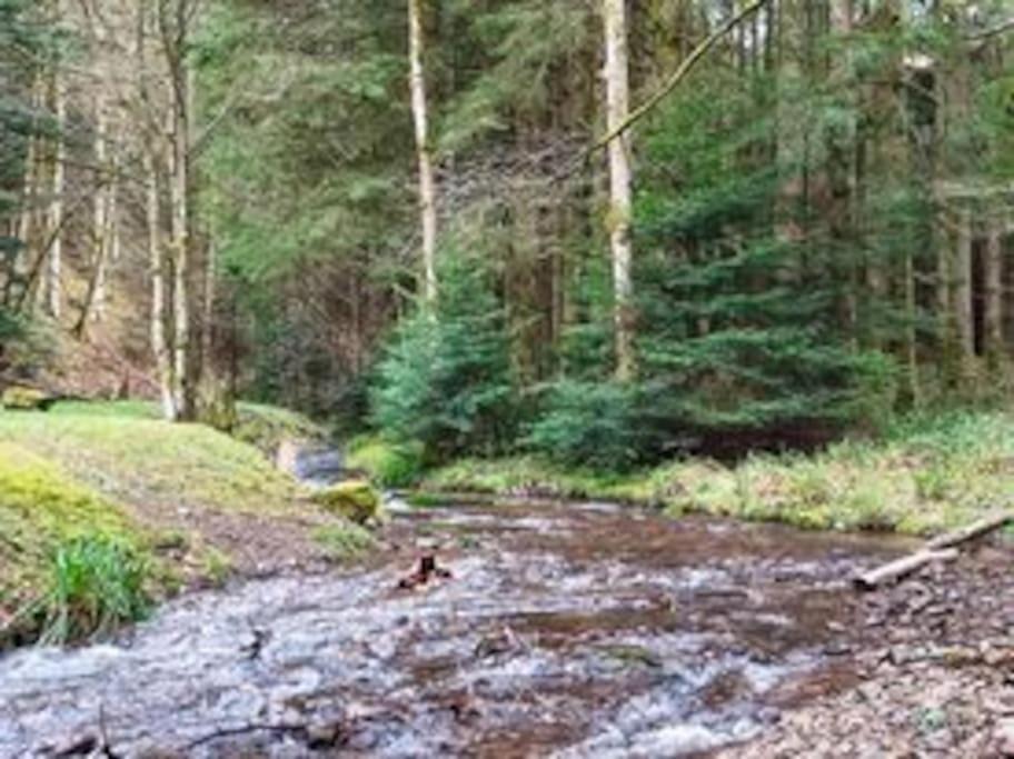 Photo of Others in Raon-sur-Plaine