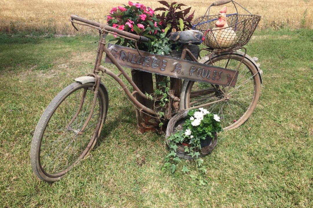 Photo of Others in Gensac-la-Pallue