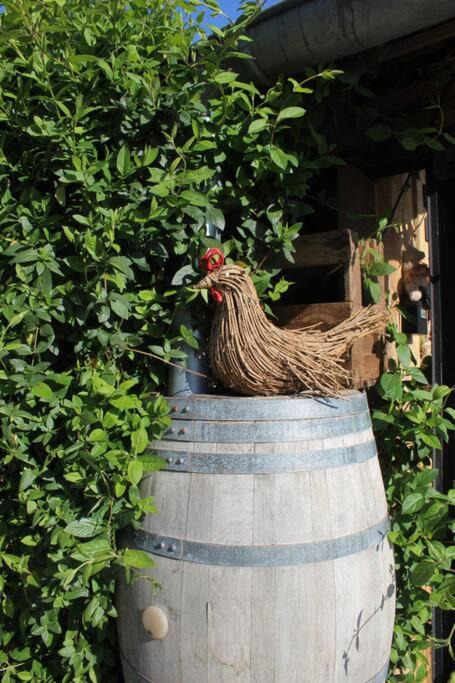 Photo of Others in Bindernheim