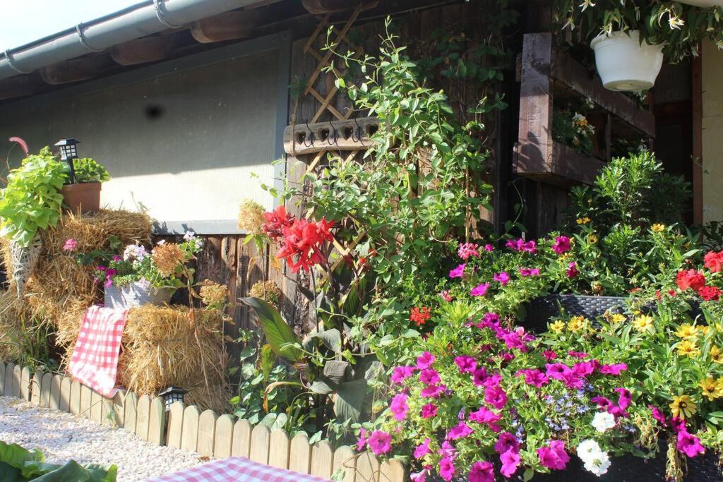 Photo of Buildings in Bindernheim