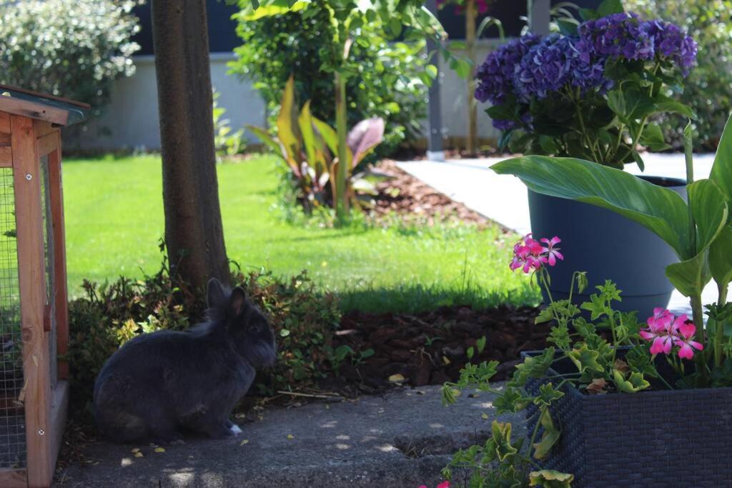 Photo of Others in Bindernheim