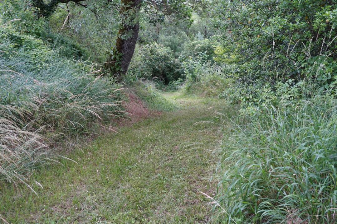 Photo of Others in Fauroux