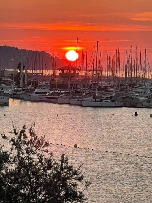 Photo of Others in Le Lavandou