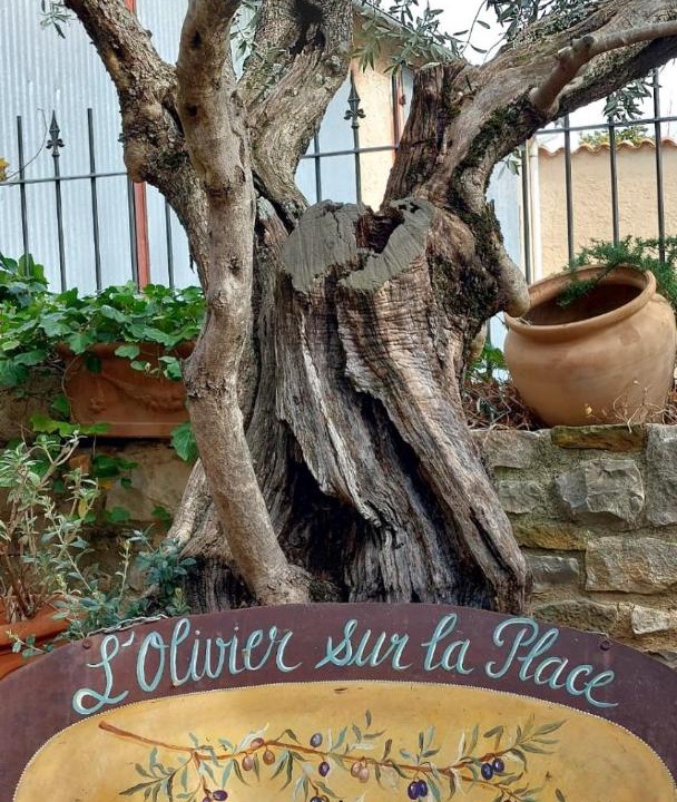 Photo of Others in La Rochegiron