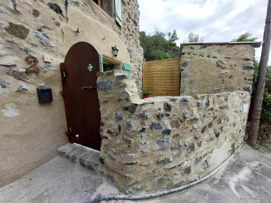 Photo of Others in Prugnanes