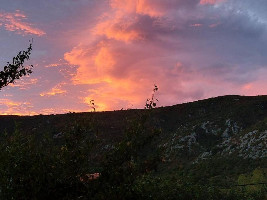 Photo of Outdoor in Prugnanes