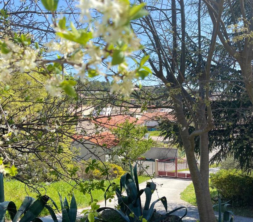 Photo of Others in Caunes-Minervois
