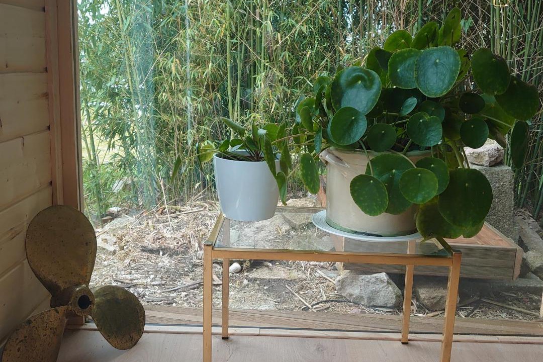 Photo of Others in Sornay