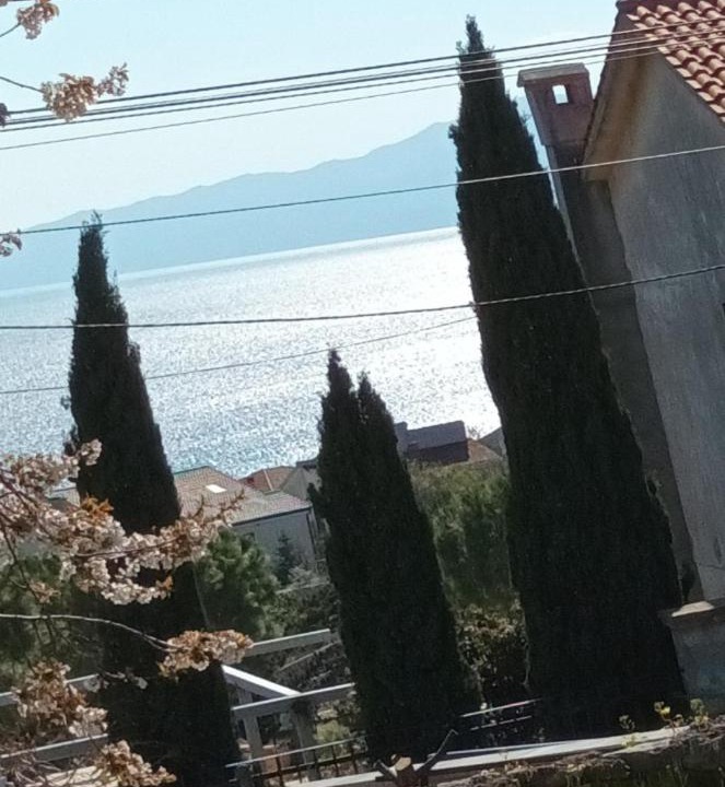 Photo of Others in Sodici