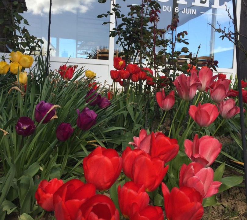 Photo of Others in Sainte-Mere-Eglise