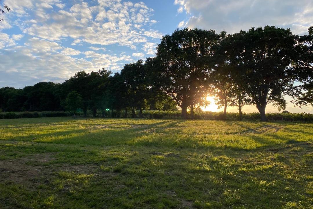 Photo of Others in Abbess Roding