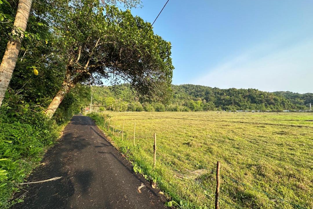 Photo of Others in Pantai Tengah
