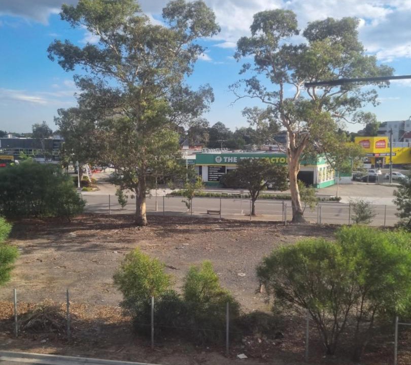 Photo of Others in Rokeby