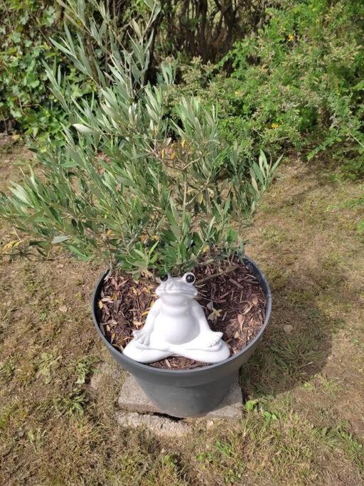 Photo of Others in Saint-Martin-de-Valgalgues