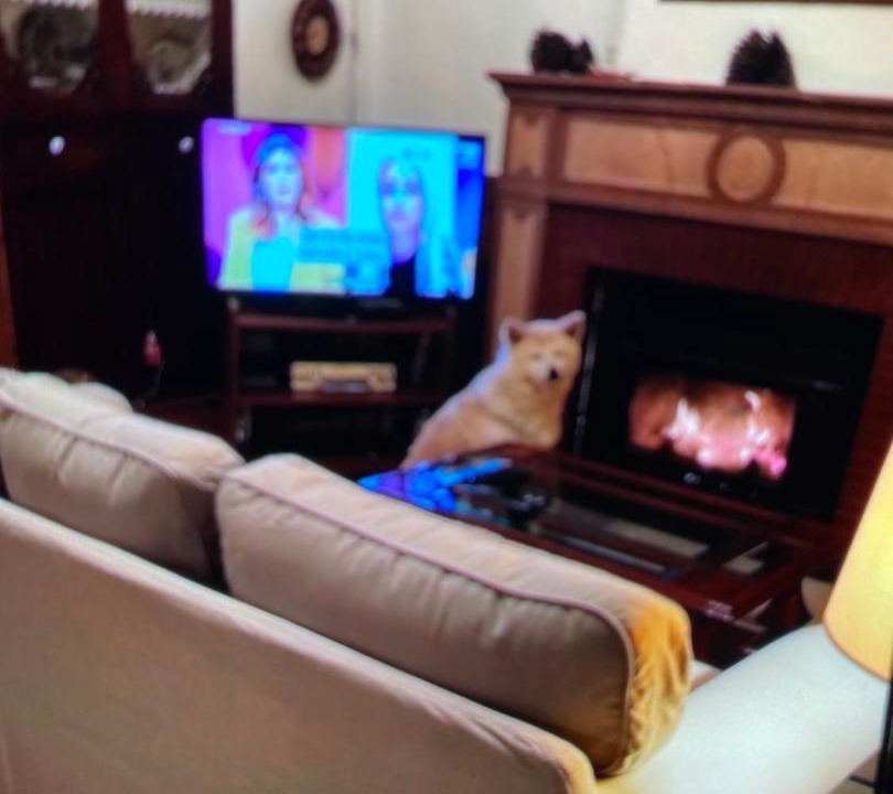 Photo of Livingroom in Navarres