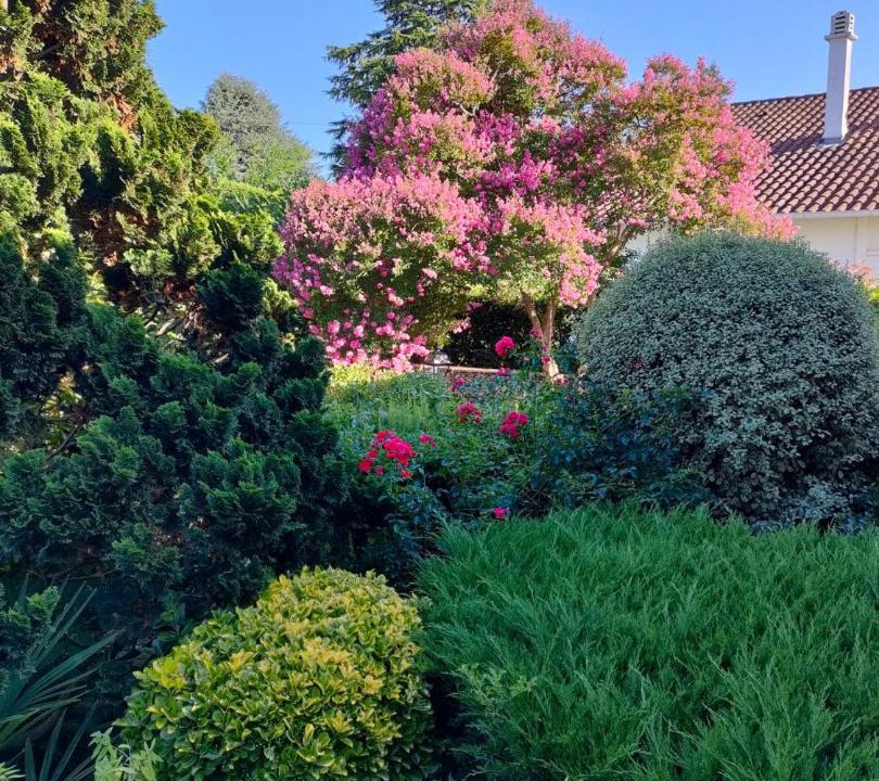 Photo of Others in Gelos